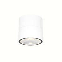 Уличный потолочный светильник Outdoor O310CL-L7W3K