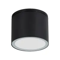 Уличный потолочный светильник Arte Lamp PIAUTOS A1913PF-1BK