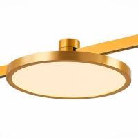 ST818.206.12 Магнитный трековый светильник FARM Золотистый LED 1*10W 3000K 520Lm Ra80 120 IP20 D168x