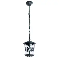 Уличный подвесной светильник Arte Lamp PERSIA A1455SO-1BG