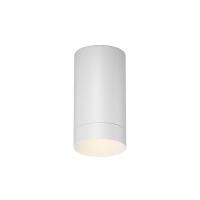 Уличный потолочный светильник Outdoor O500CL-L5W3K