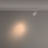 Трековый светильник Technical TR029-3-10W3K-S-W
