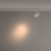 Трековый светильник Technical TR029-3-20W3K-S-W