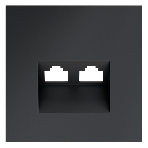 Накладка для розетки компьютерной двойной RJ45+RJ45 кат.6, S70 (графит)