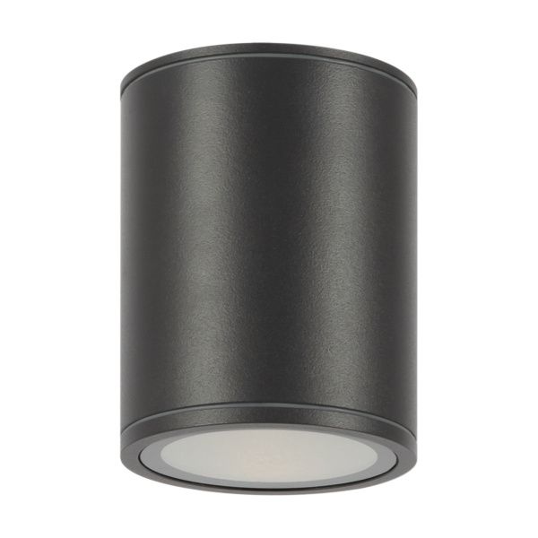 Уличный потолочный светильник Outdoor O306CL-L12GF