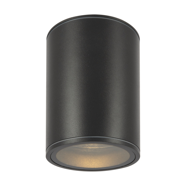 Уличный потолочный светильник Outdoor O306CL-L7GF